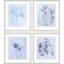 Onomatopoeia Set Set by Susan Hable