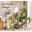 Plant Stand