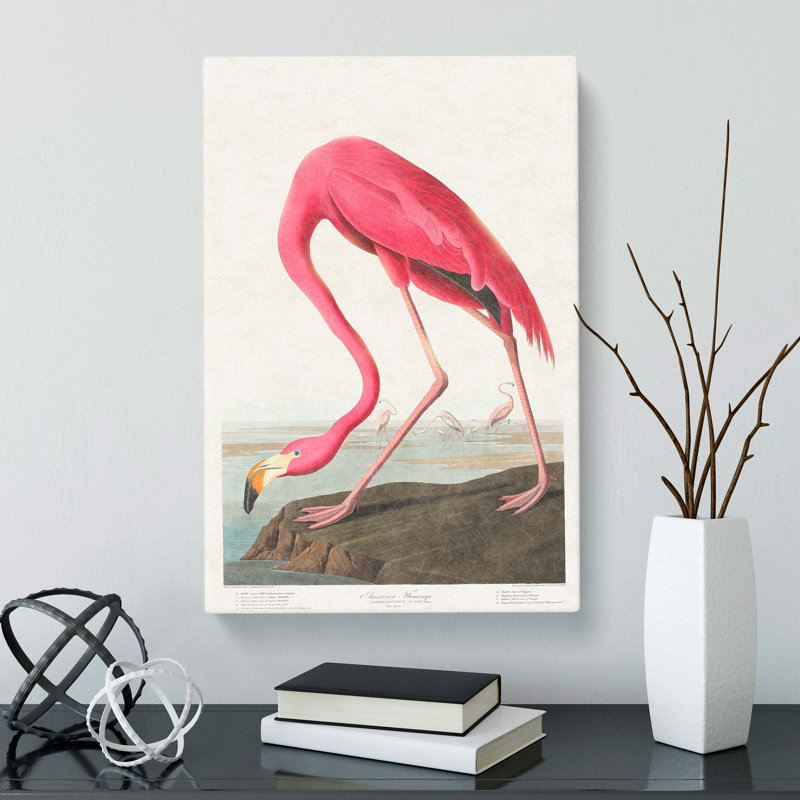 Pink Flamingo by John James Audubon - Wall Art, 76cm H x 50cm W x 3cm D, Wrapped Canvas