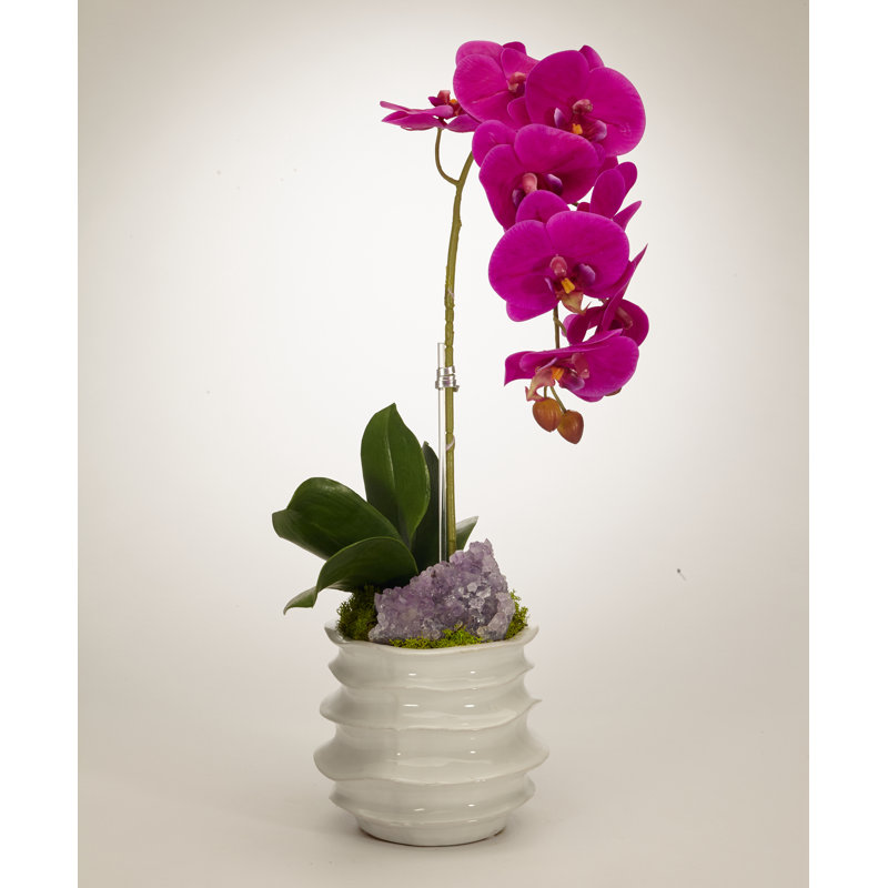 Orchid in Container with Amethyst