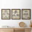 «Vintage Architects Plan I», ensemble de 3 impressions sur toile encadrées-72804325-72804344