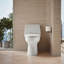Santa Rosa Comfort Height One-Piece Compact Elongated 1.28 Gpf Toilet With Revolution 360 Swirl Flushing Technology-1913085060-1913085056