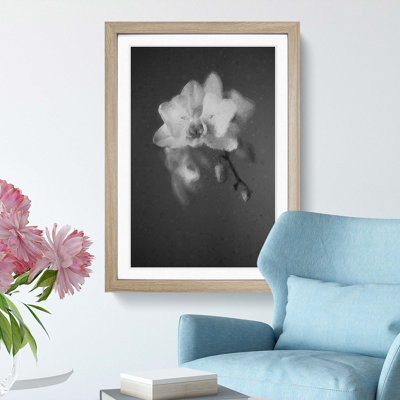 Pretty White Orchid - Framed Print