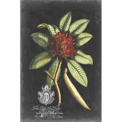 Feuillage royal III