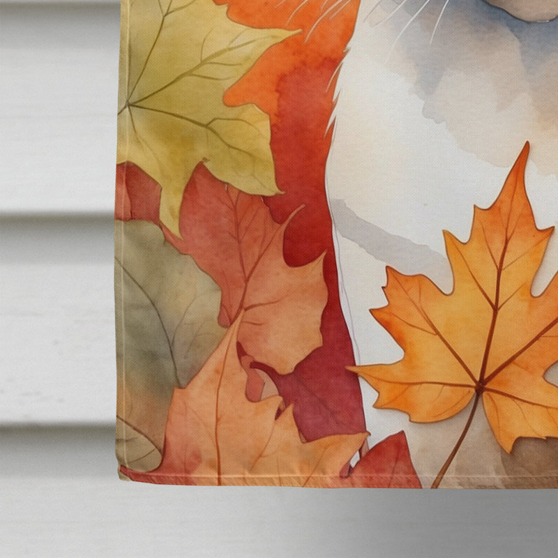 Chat en feuilles d'automne, Siamois