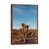 Classic Brown Wood Framed