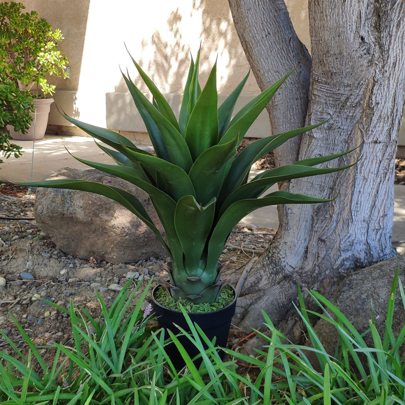 Agave artificielle Sansevieria en pot
