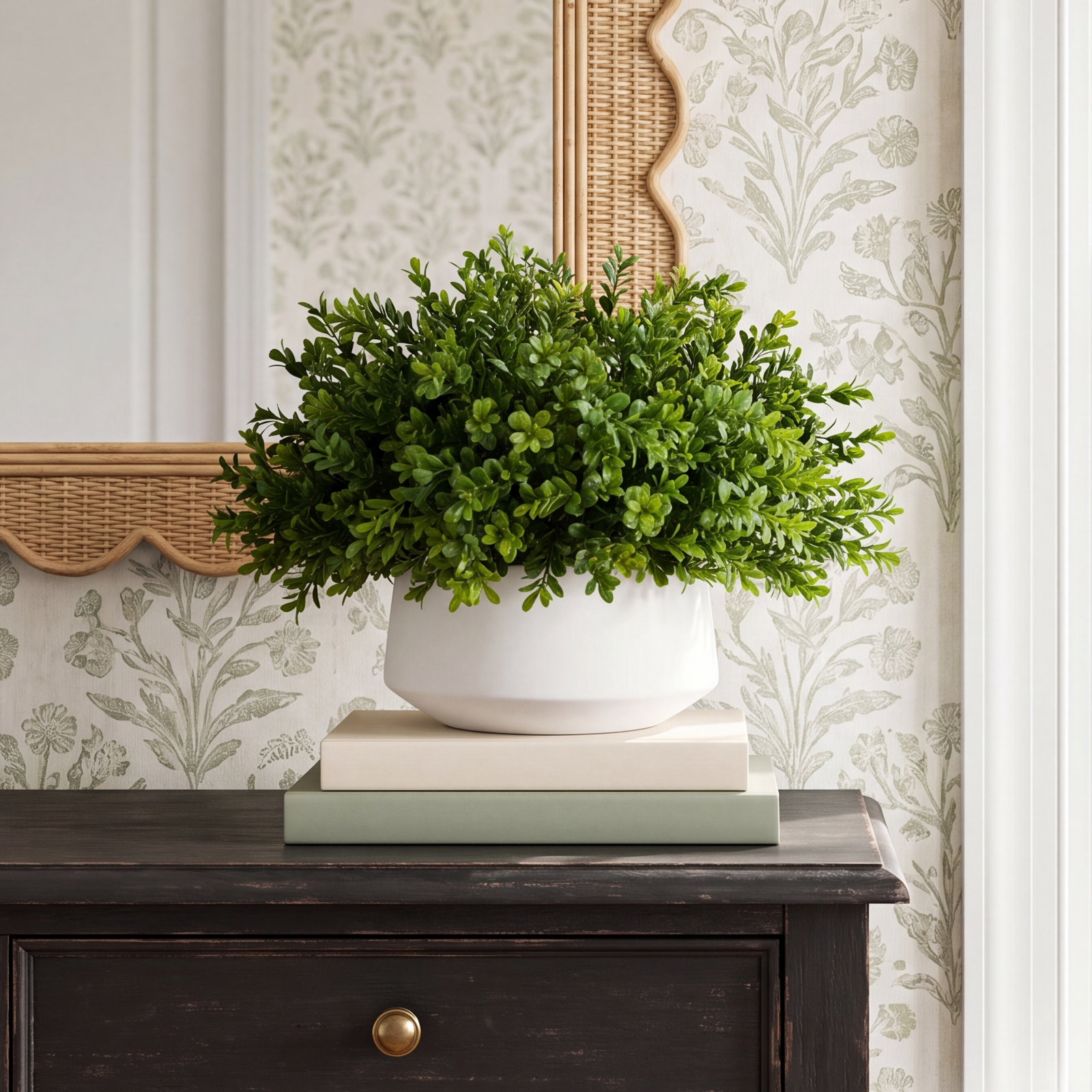 Weatherhill Boxwood Plant in Pot, 13"H x 19"W x 19"D