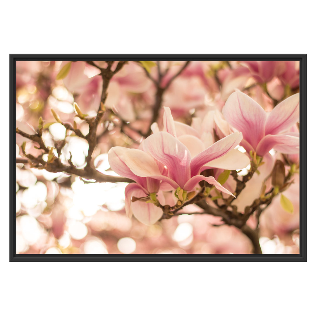 Gerahmtes Wandbild Rosa MagnolienblütenFrühling