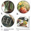 Fruit in Basket II - reproduction sur toile-87045634-87045639