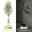 Faux olivier haut, oliviers d'intérieur Artificia avec pot de fleurs blanc-111689193-111689190