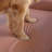 Orthopedic Leather Pet Bed-73385420