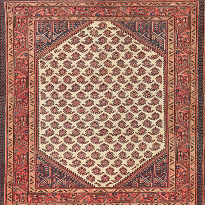 Southwestern Indoor Rug