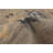Gerlak One-of-a-Kind 8' X 10' 2010s Wool Area Rug in