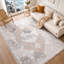 Machine Woven Beige/Cream/Grey/White Indoor Rug-97802156