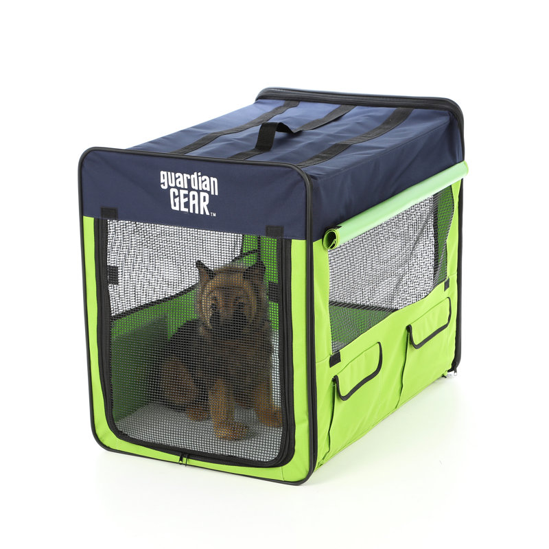 Collapsible Soft-Sided Crate with 1 Door, Medium - Lime / Blue