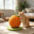 Orange est en rupture de stock