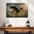 Brampt Bald Eagle Catching Fish-108871921