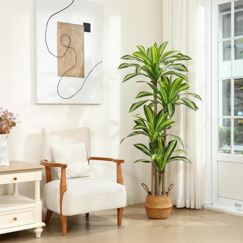 Arbre Dracaena artificiel d'intérieur 6 pi