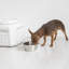 Contenant alimentaire Vittles-49517139
