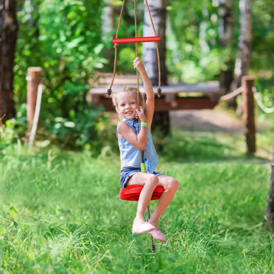 Disc Swing With Monkey Bars