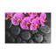 Violet, orchidée sur pierre, art floral sur toile, photographie de nature
