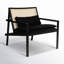 Modern Brazilian Lounge Chair-1046896064