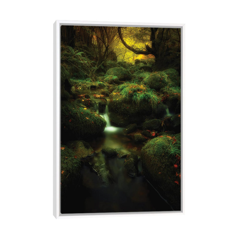 Land Of Xanes by Glendor Diaz Suarez - Floater Frame Print on Canvas
