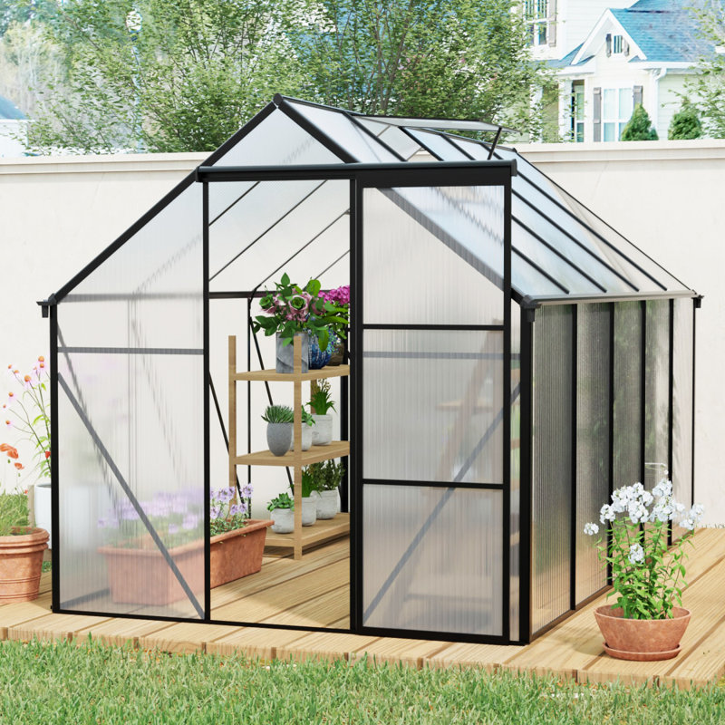 Serre en polycarbonate surélevée 6X10 pi