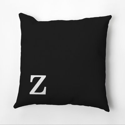  Square Pillow Cover and Insert