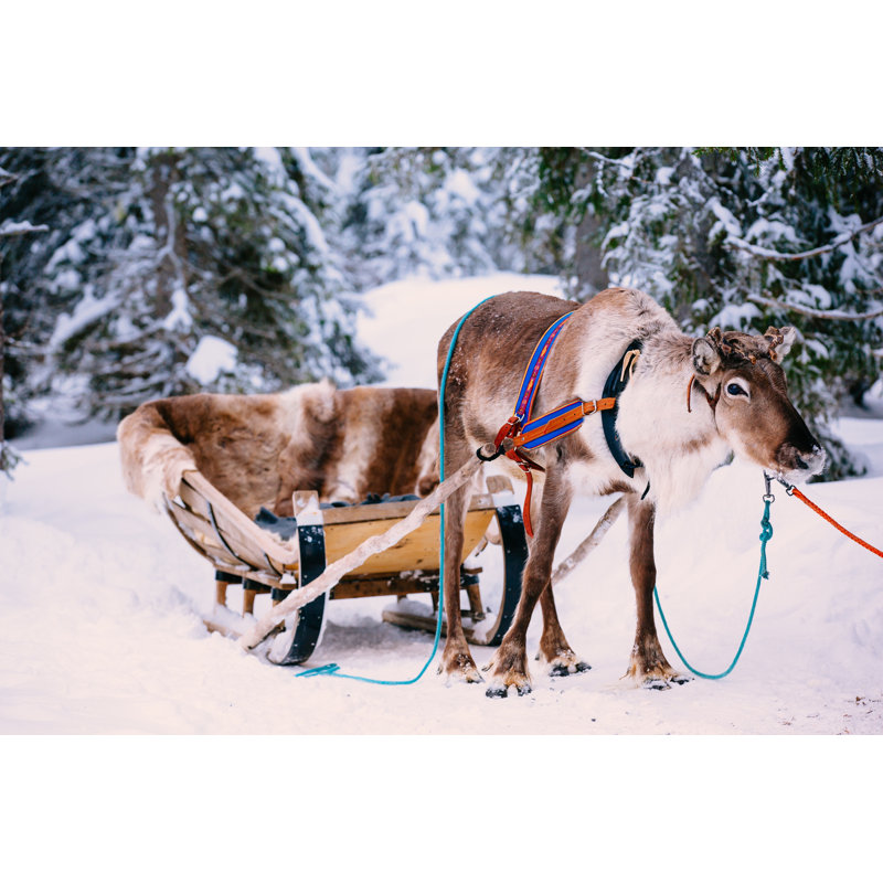 Reindeer In A Winter Forest by Wmaster890 - Wrapped Canvas Print, 30cm H x 46cm W