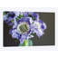« purple scabiosa » par lupen grainne, impression sur toile-31919451-73559627-73559628