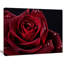 Rose rouge avec gouttes de pluie sur fond noir - impression d'art graphique-1496938181-1507890412