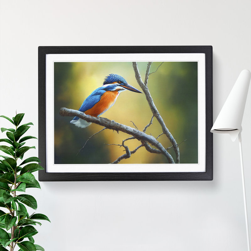 Cool Kingfisher Bird - Framed Print, Black, 25cm H x 34cm W x 2cm D