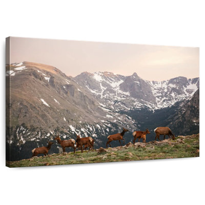 Brampt Deer Gang