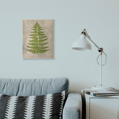 " Plant Green Parchment "