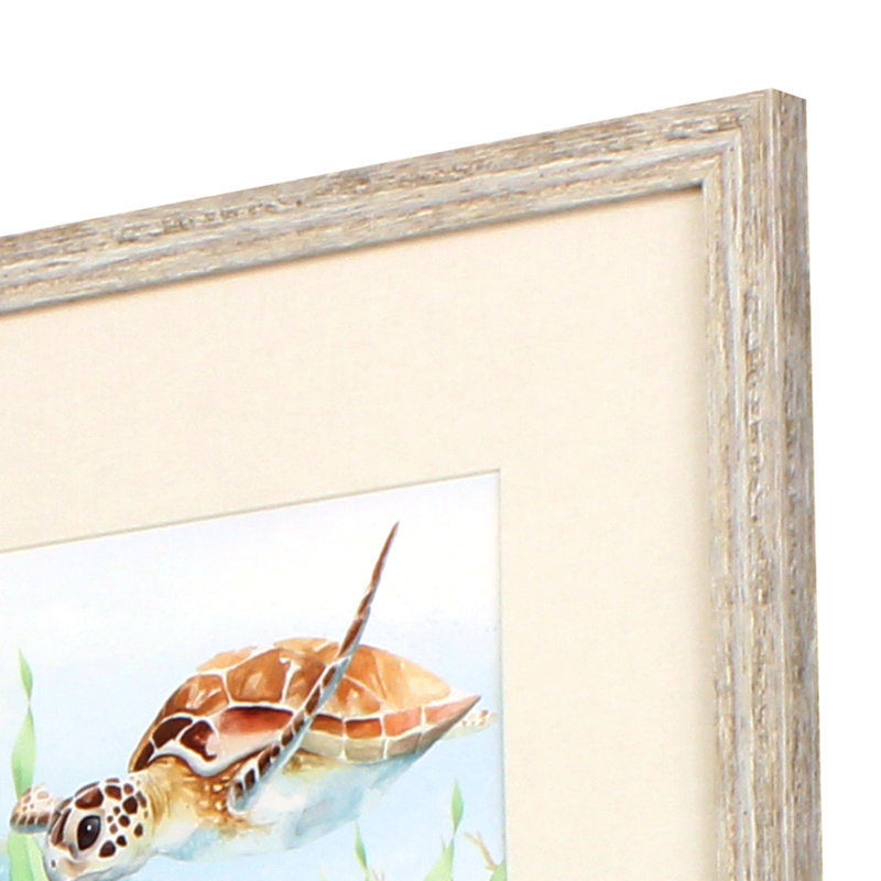 Sea Turtle Reef Print