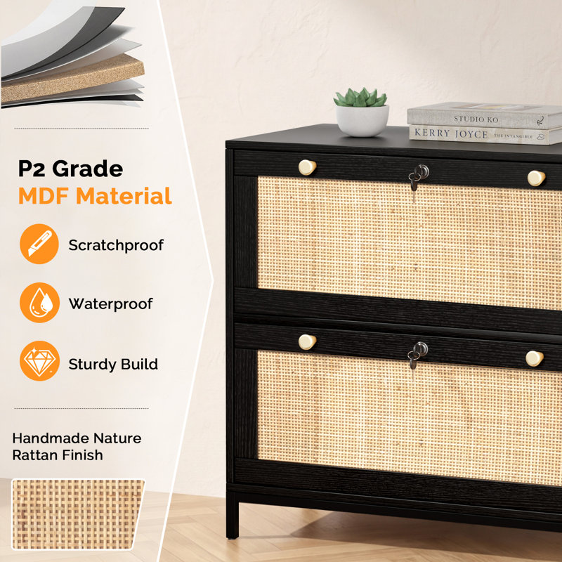 Blasko 29.5" W Engineered Wood 2-Drawer Lateral File Cabinet, Black