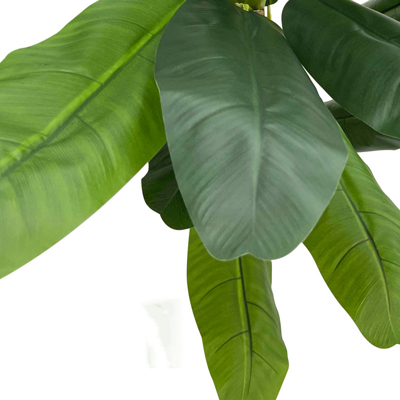 Plante à feuilles de bananier 70,87 po