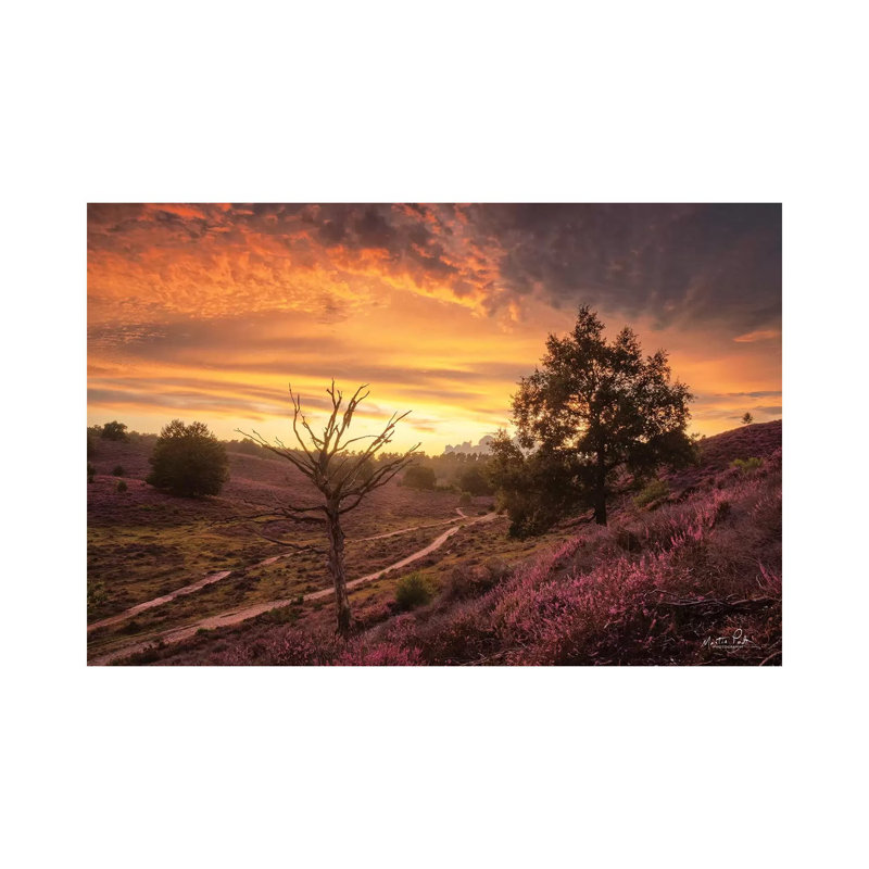 Dead Tree At Sunset by Martin Podt - Wrapped Canvas Gallery-Wrapped Canvas Giclée, 101.6 cm H x 66.04 cm W x 1.91 cm D