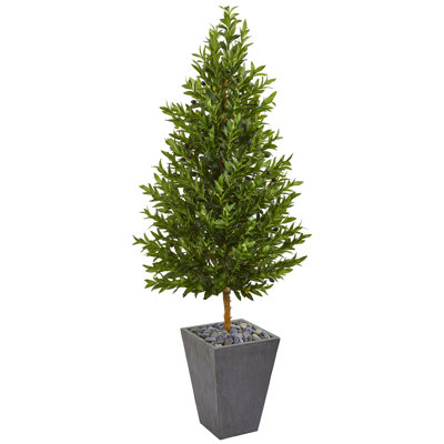 67in. Olive Cone Topiary Artificial Tree in Slate Planter UV Resistant (Indoor/Outdoor)