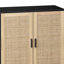 Buffet 62,2 po Aera-2007179835