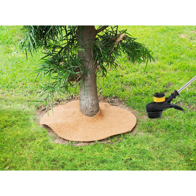 Urias Plant Cover