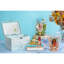 Disney Pastel Princess Musical Jewellery Box Moana