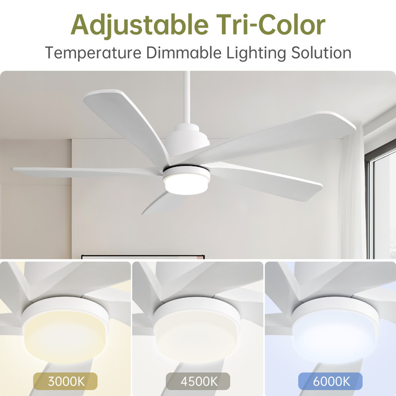Sofucor 52" 5-Solid Blade Smart Modern Ceiling Fan with LED Light，Remote, White with White Blades