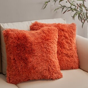 https://assets.wfcdn.com/im/57965469/resize-h310-w310%5Ecompr-r85/1678/167879376/whalan-faux-fur-throw-pillow-set-of-2.jpg