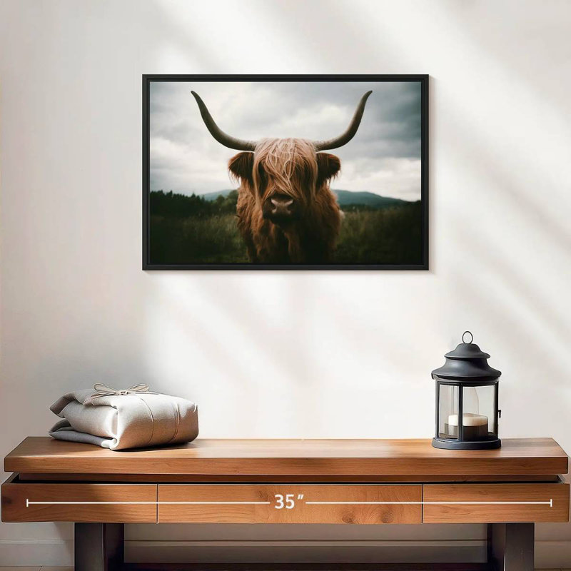 Brampt Open Field Highland Cow, H 13 po x l 19 po