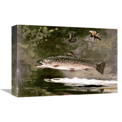 Trout by Winslow Homer Wall Art on Wrapped Canvas