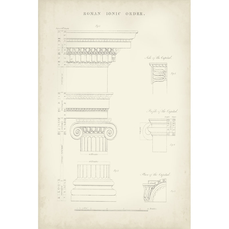 Greek & Roman Architecture V by Thomas Kelly - Wrapped Canvas Print,  122cm H  x  81cm W  