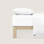 100% Cotton Percale Fitted Sheet-56059438-56059458